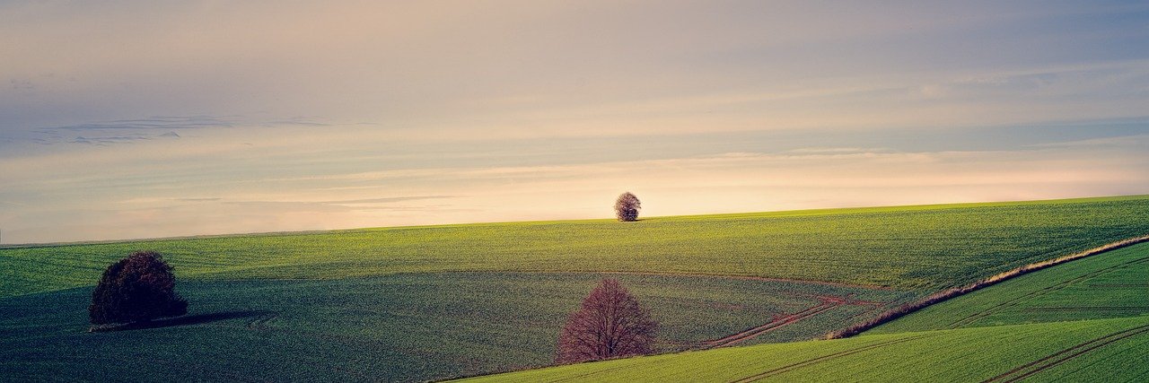 Loki Laufeyson banner