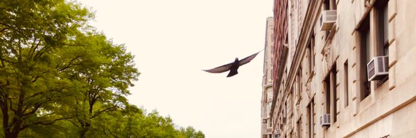 CONSTANCECHING4 Profile Banner