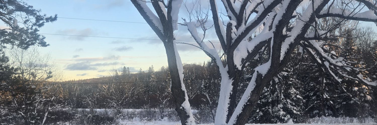 Freddy Fredstone banner