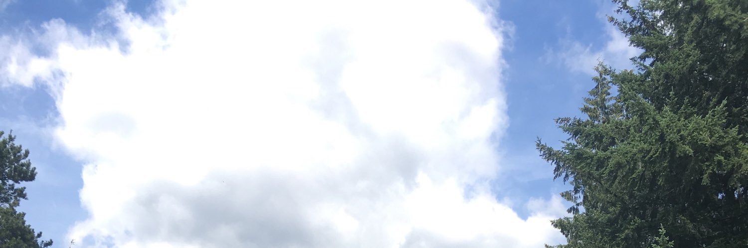 Concepts98's profile banner image
