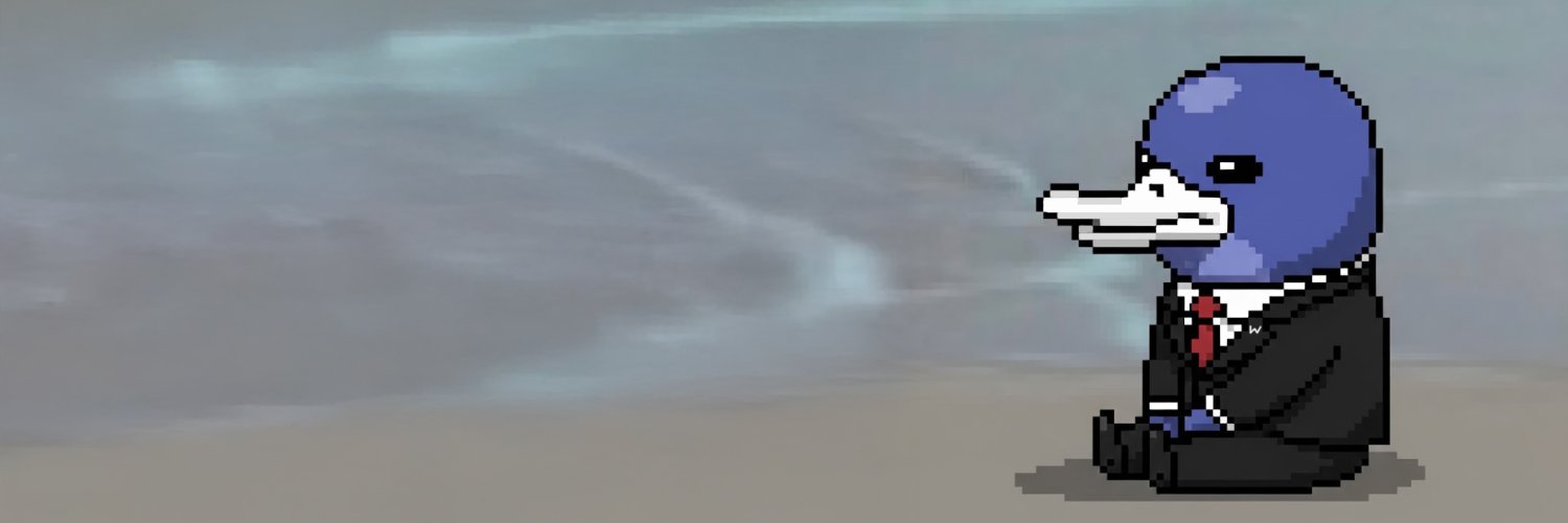 Wormhole Wassie banner