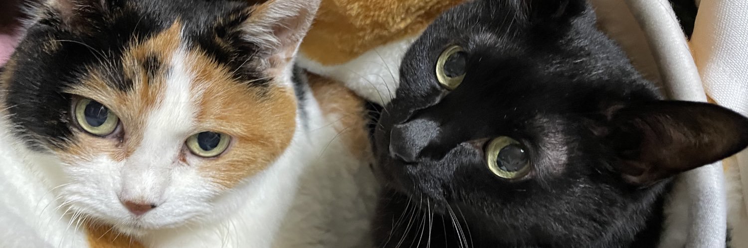 youcatmilk's profile banner image