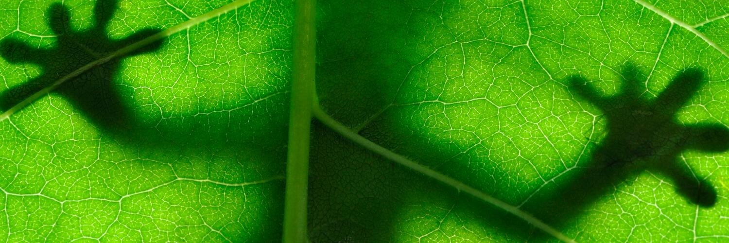 NatureScanner.nl banner