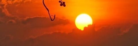 jivanjoti's profile banner image