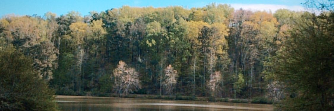 Sharon Hsieh, MD, MPH banner