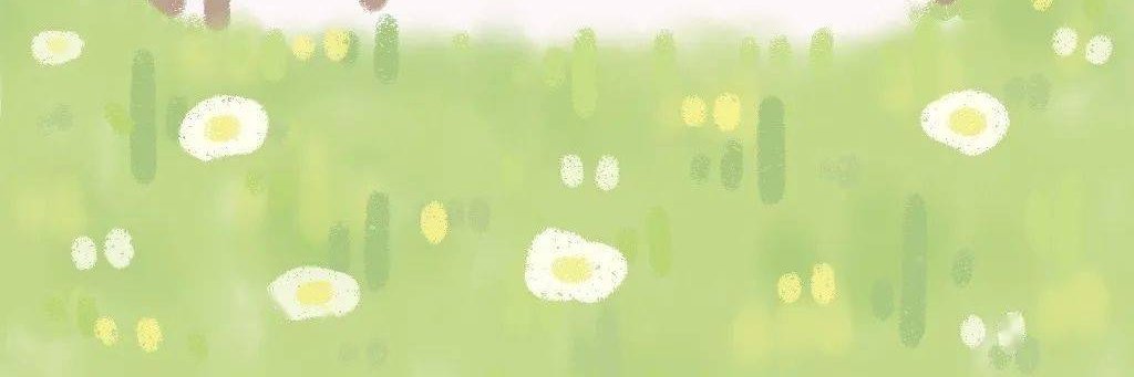 nolan_kaylan's profile banner image