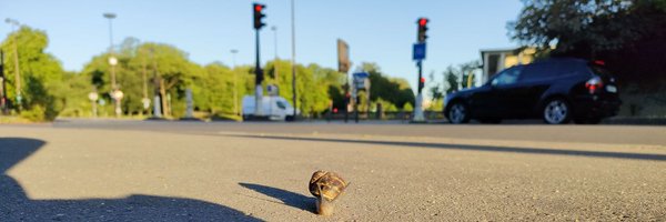 el_Reg Profile Banner