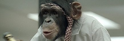 Monkeysupremo3's profile banner image