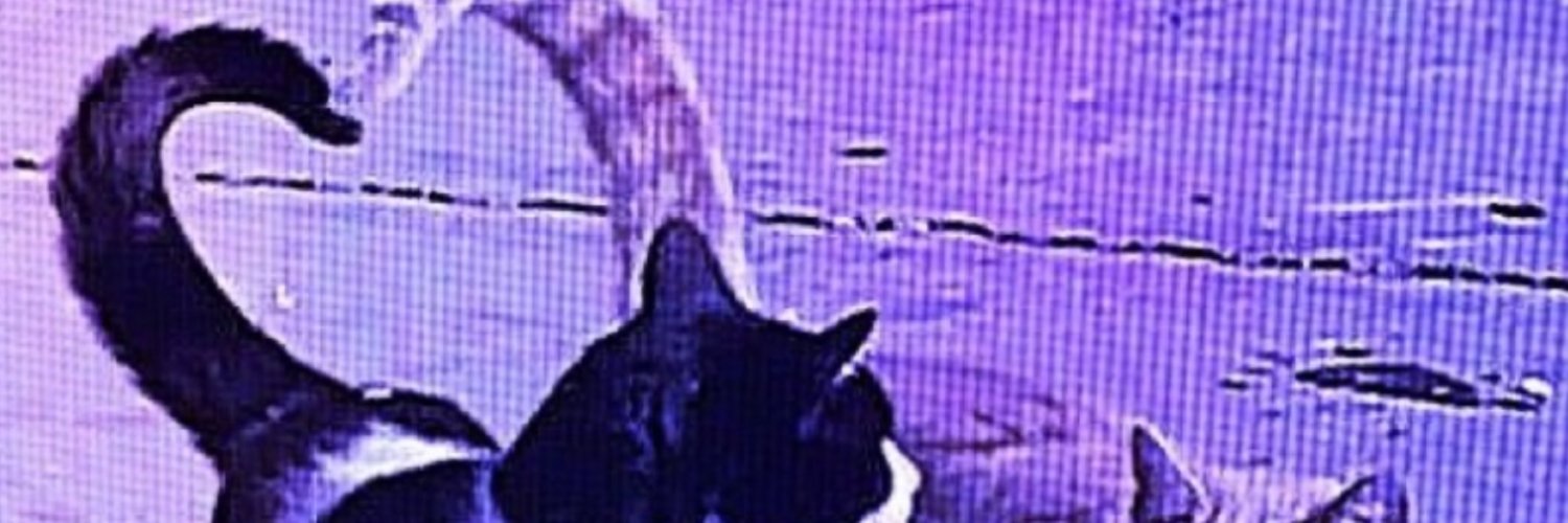 Alexis Kyker banner