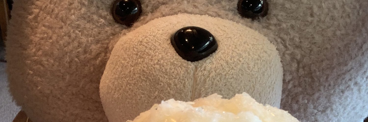 テッド banner