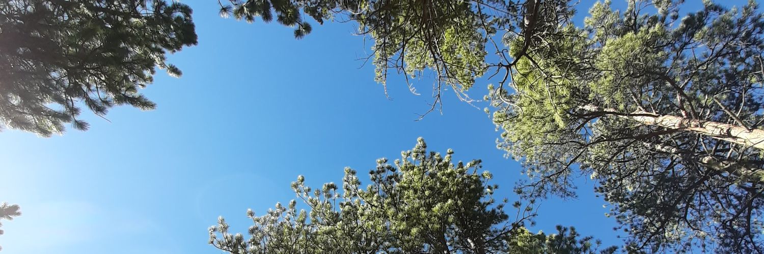 UniversalMind banner