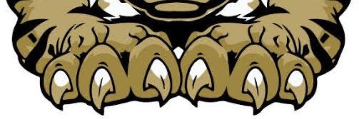 MrCoachPeters banner