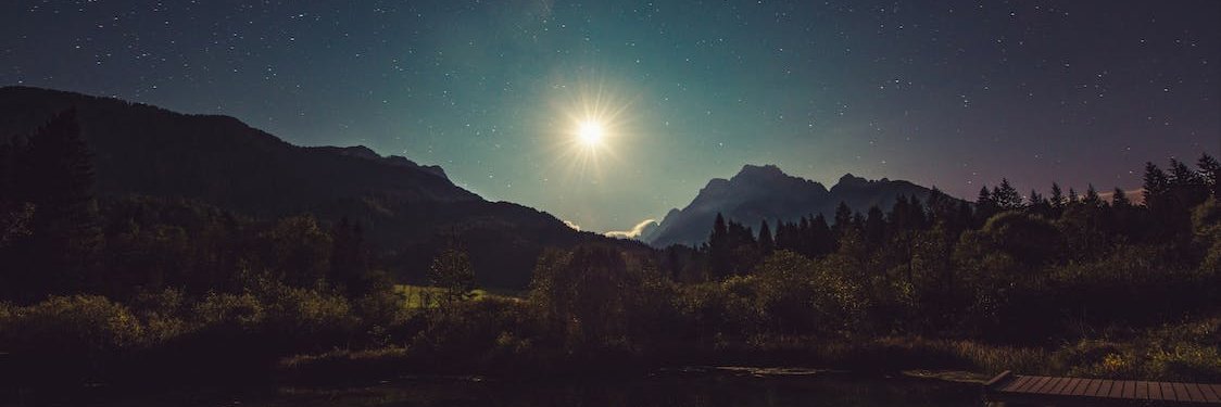 wijaiditsee's profile banner image