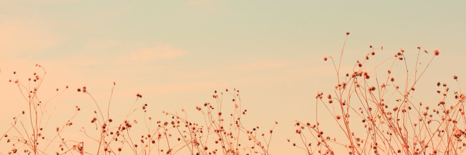 FrrankyChan's profile banner image