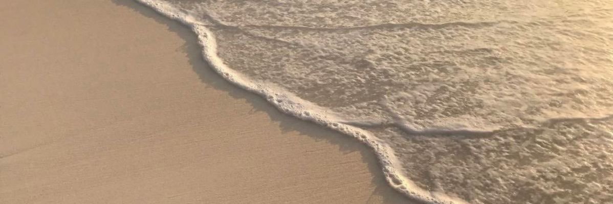 mich⋆˚꩜｡ banner