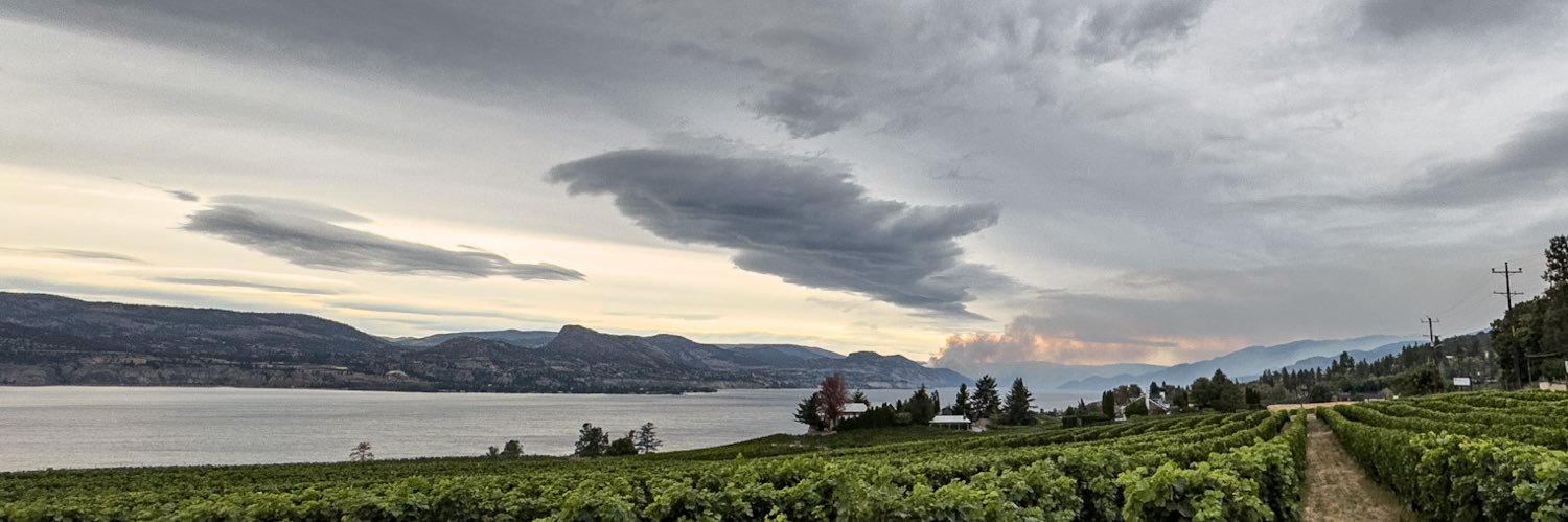 Michael Snell banner