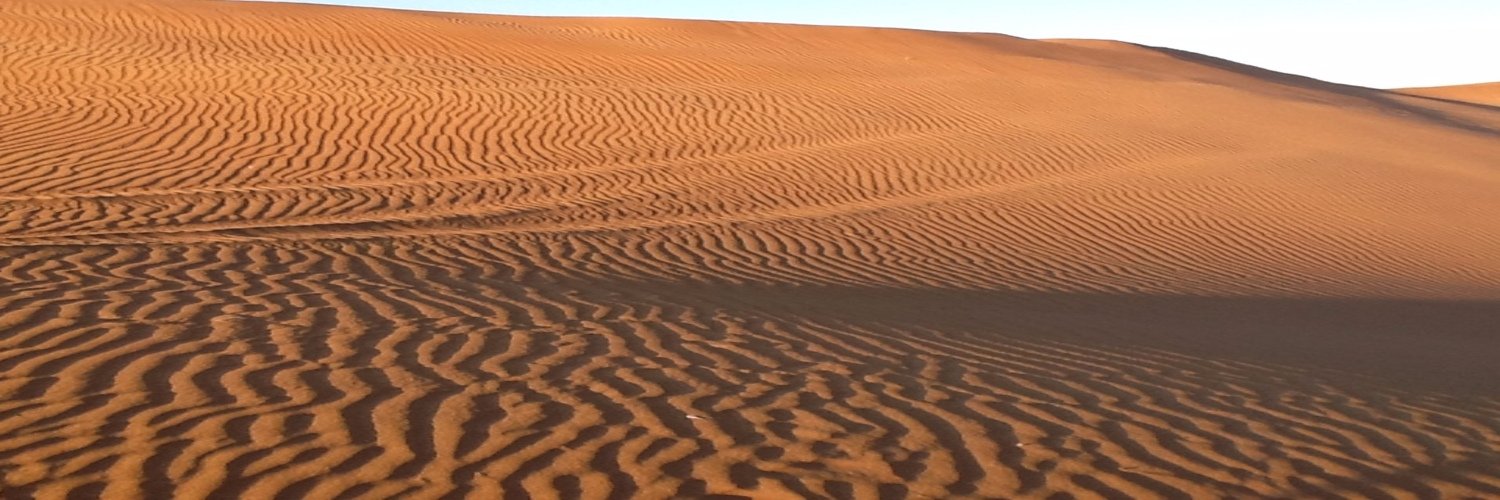 YaliSTX's profile banner image