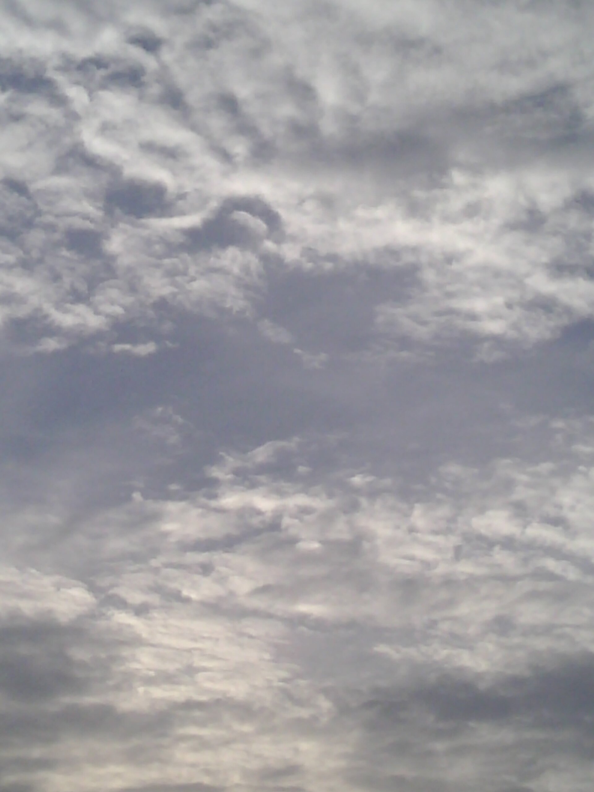 MeAnthonyBoses's profile banner image