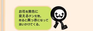 そんた banner
