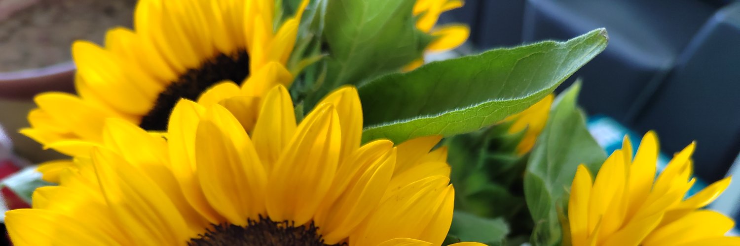 Sherrybeibei banner