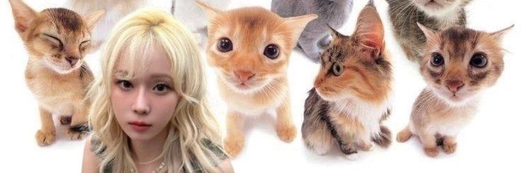 clickhirai's profile banner image