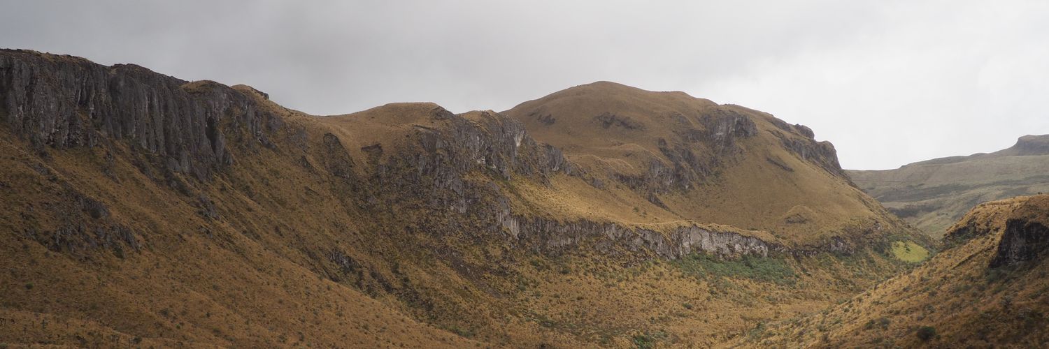 neztermg's profile banner image