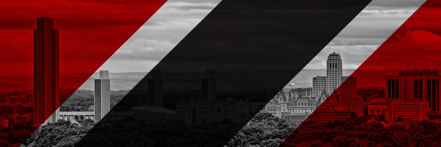 Albany Devils banner