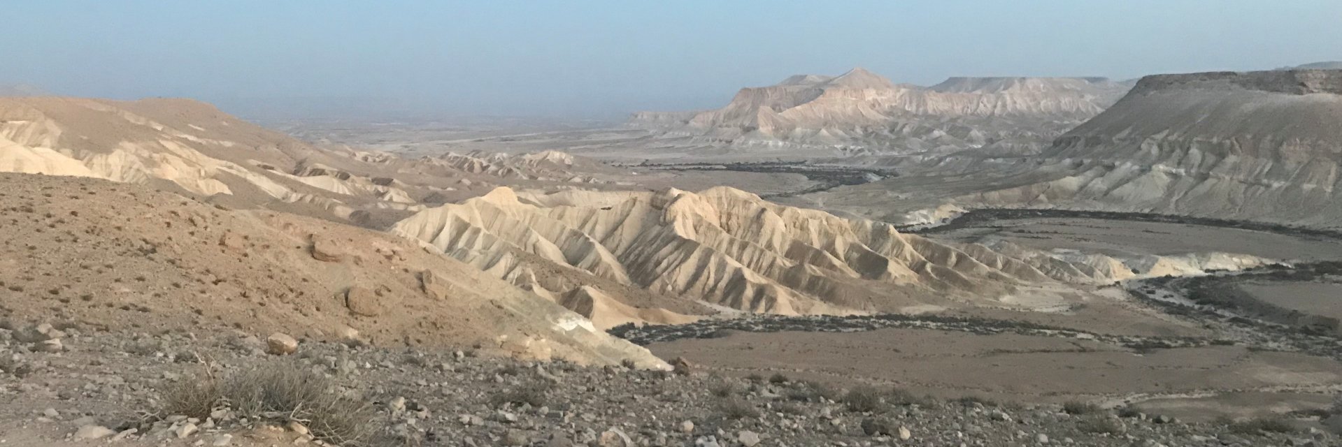 Aude Marcovitch banner