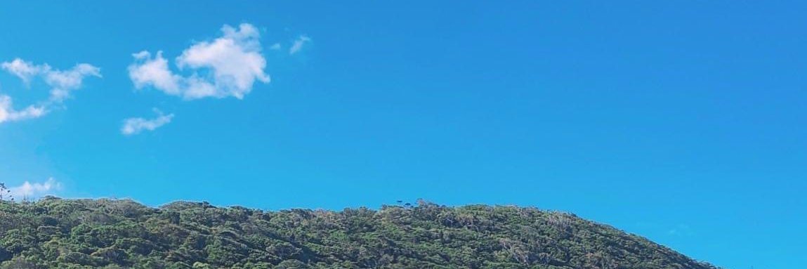 pangyu55918436's profile banner image