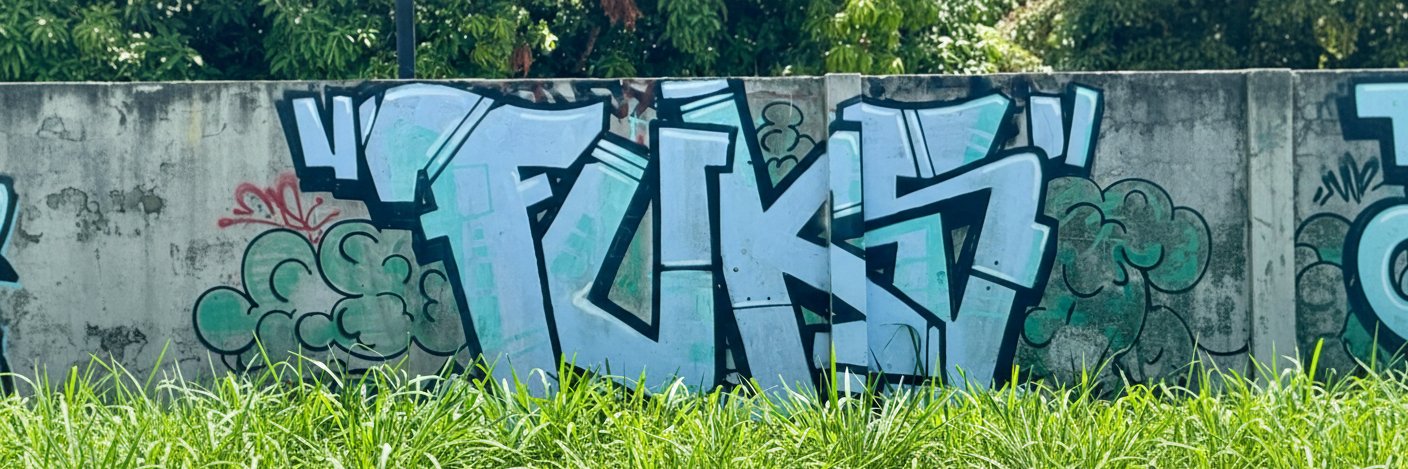 Effi Fuks banner