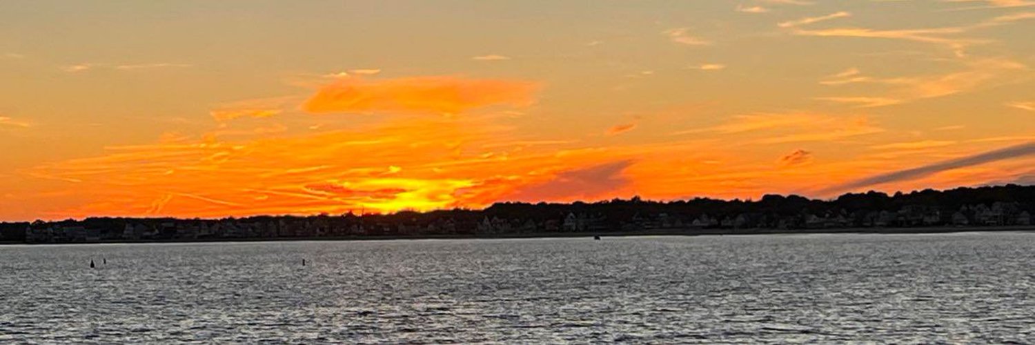 bella marie 🦋 banner