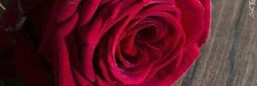 لحزني حكايه banner