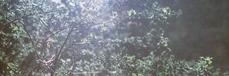 LouiseMitter's profile banner image