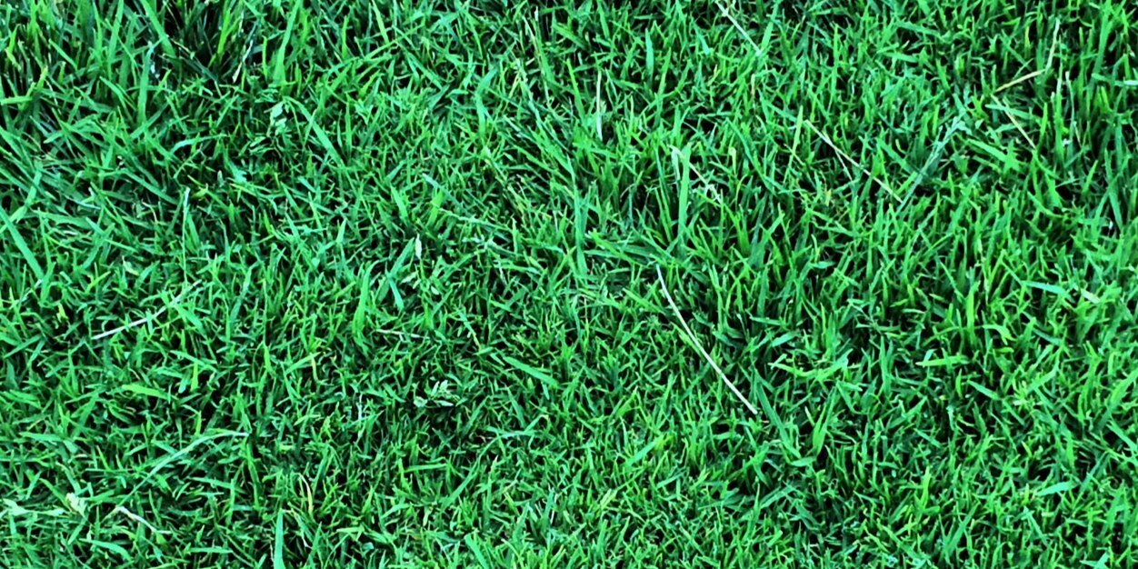 mmccleish's profile banner image