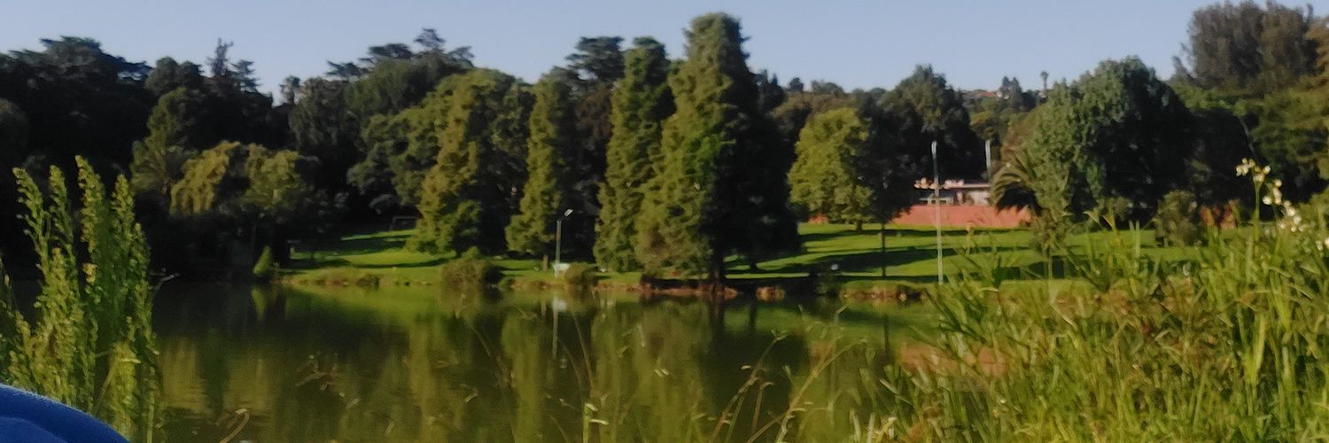 Tinashe Hunky uncut banner