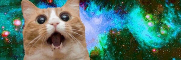 melissawm Profile Banner