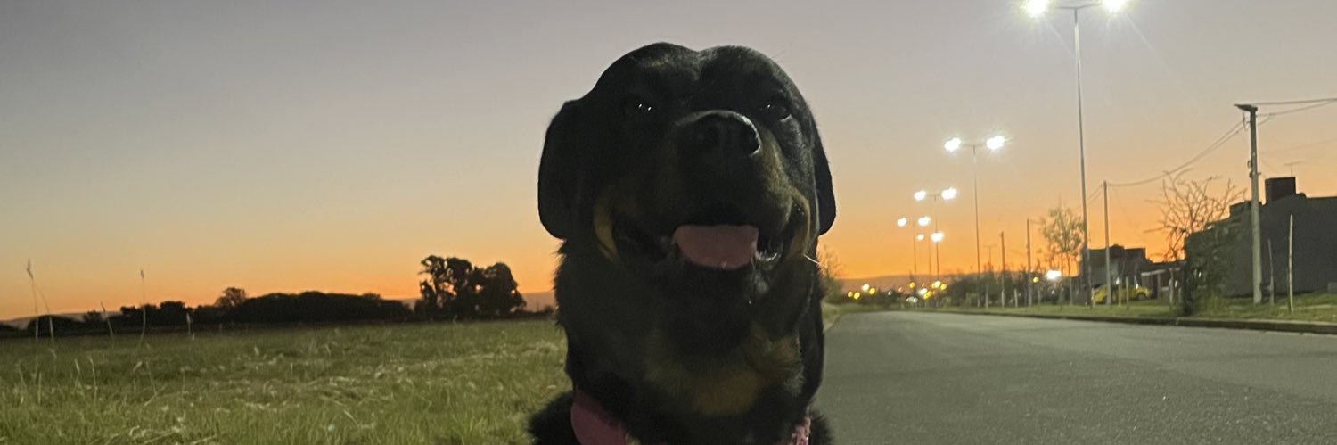 Flor_Calderoon's profile banner image