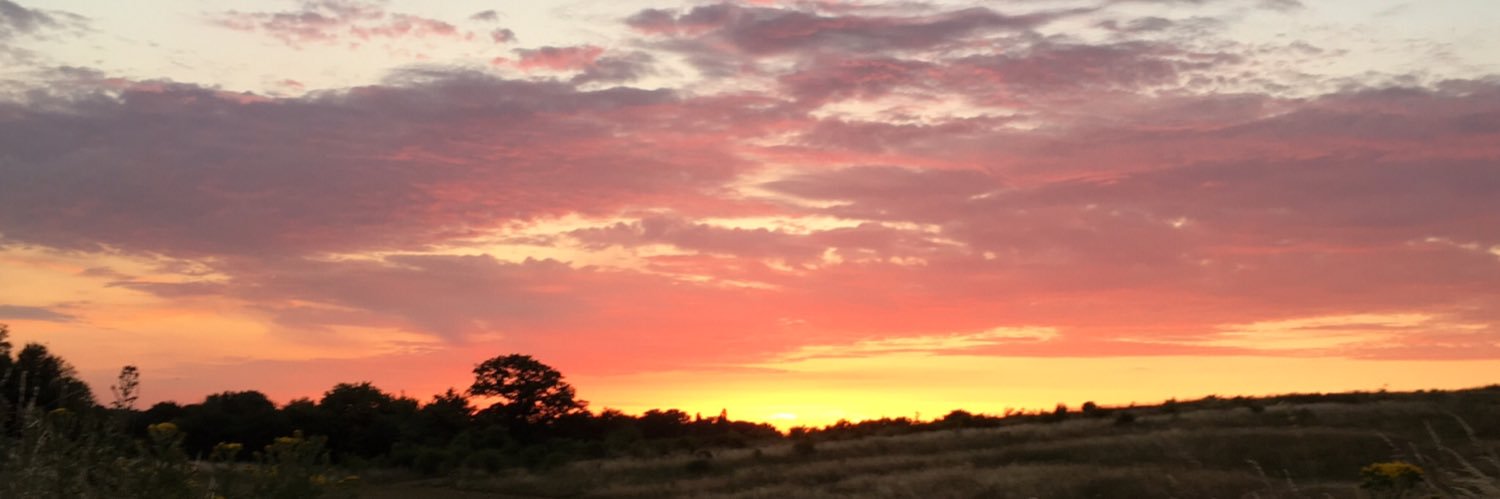 troyhelen's profile banner image