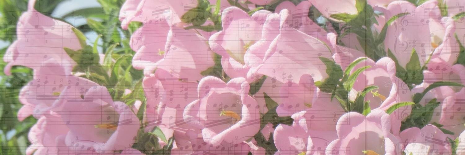 ayuneuezono's profile banner image