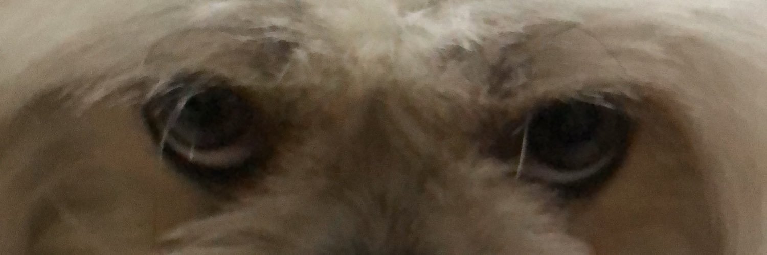 Lordfivi's profile banner image