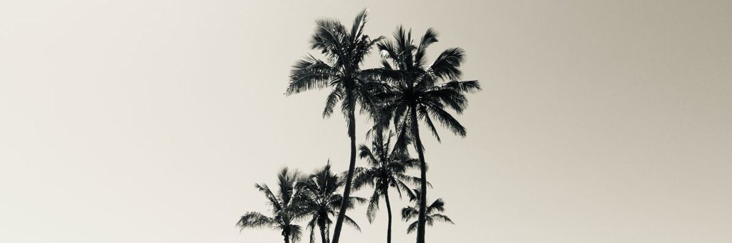 iilviil5's profile banner image