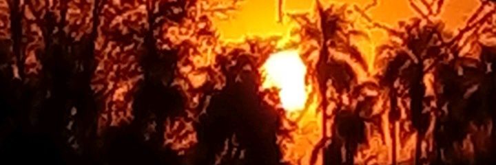 marcianodeoliv's profile banner image