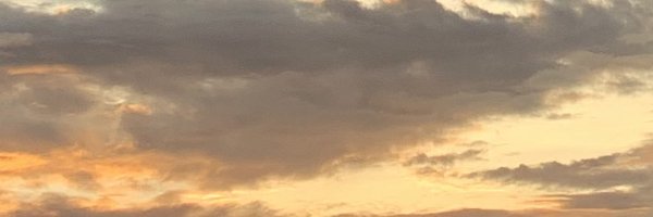 puchaiii_ Profile Banner