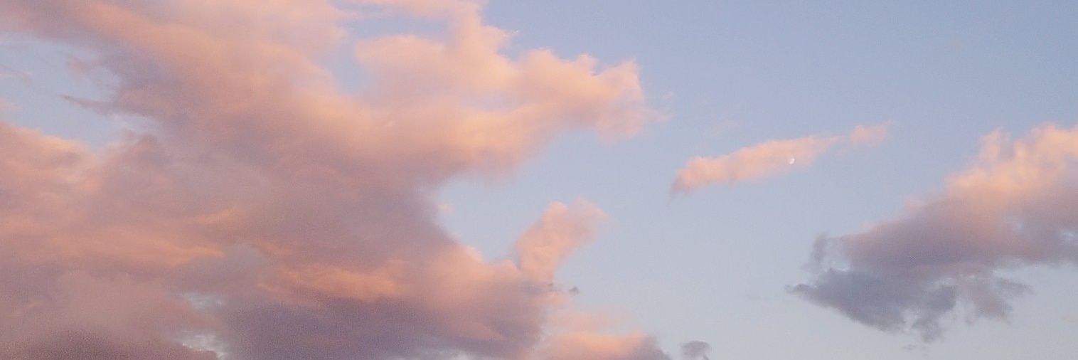 srtwgy's profile banner image