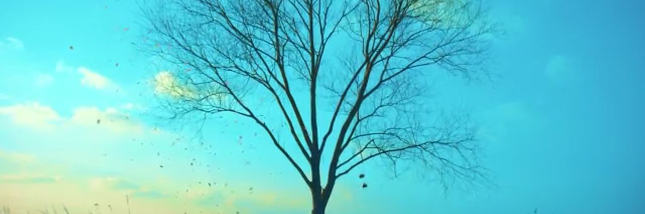 Risnna95's profile banner image