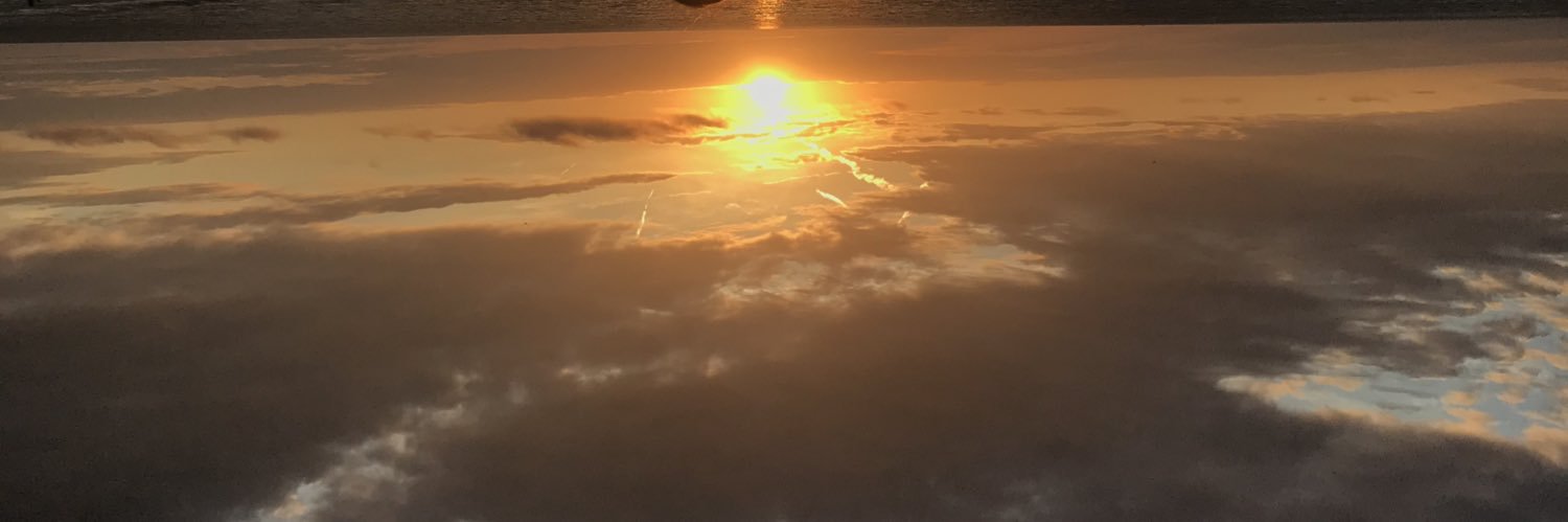 julialind22's profile banner image