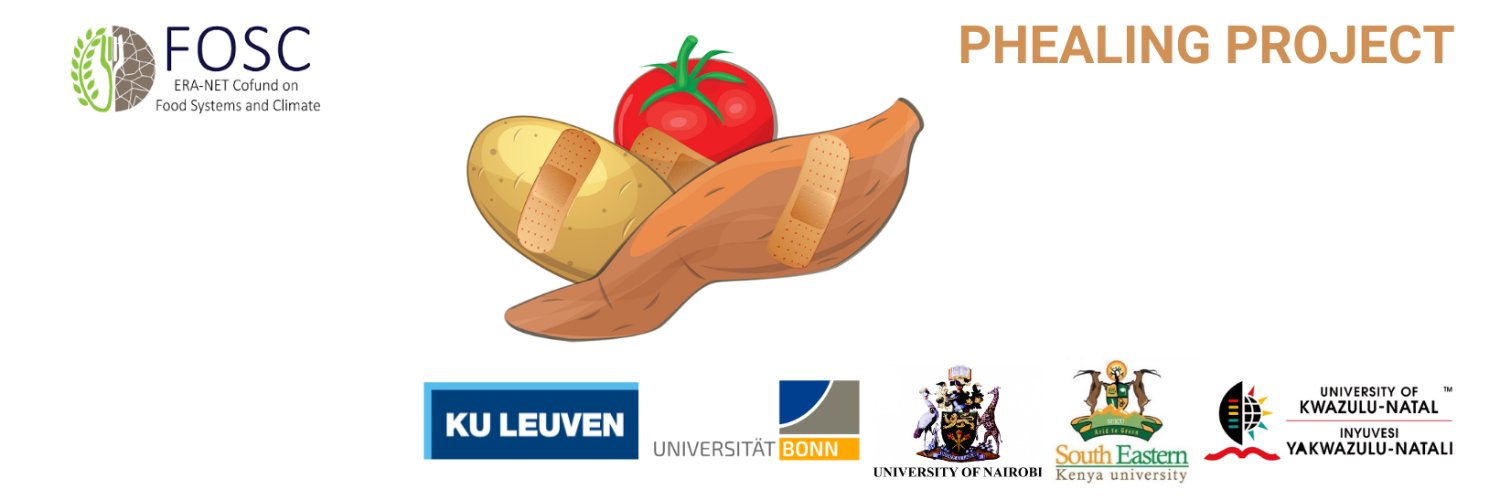 Phealing Project banner