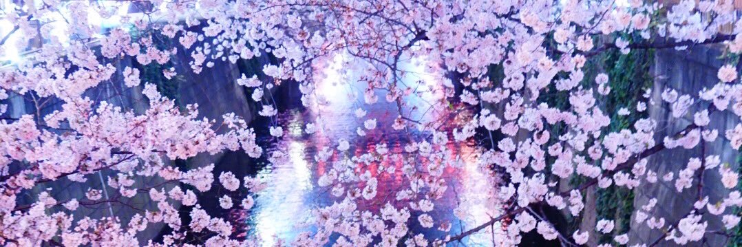 yanashu's profile banner image