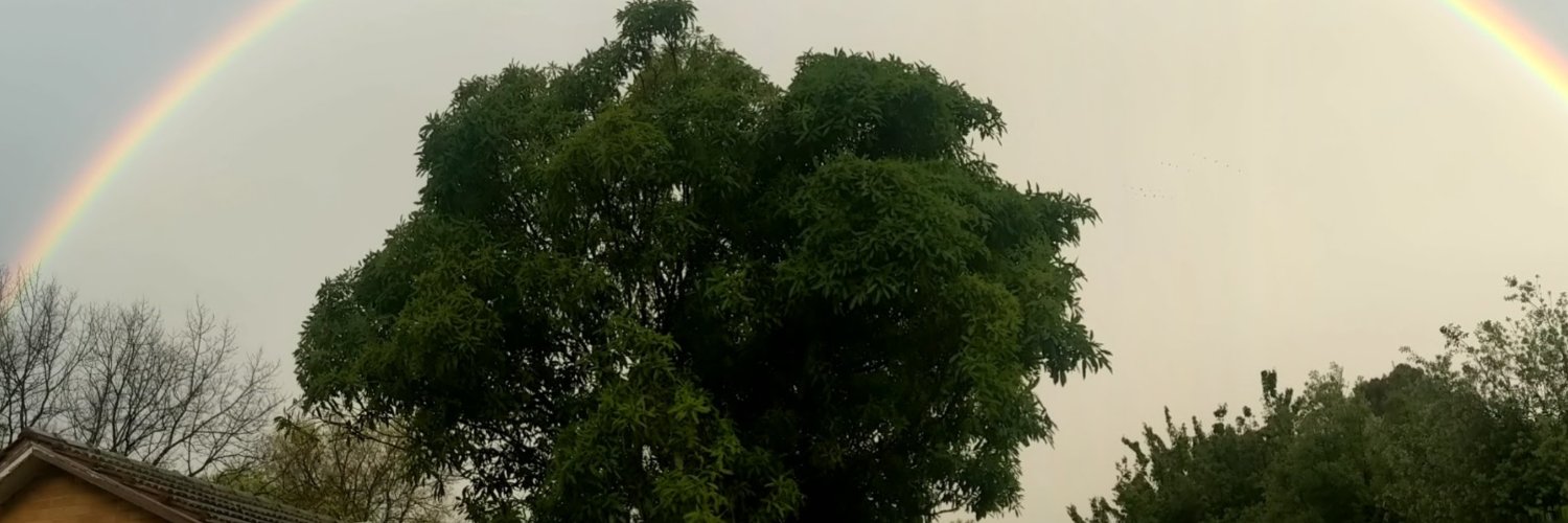helpware's profile banner image