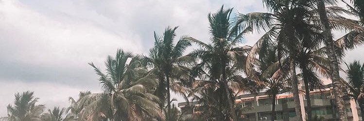 ThayGiacon's profile banner image